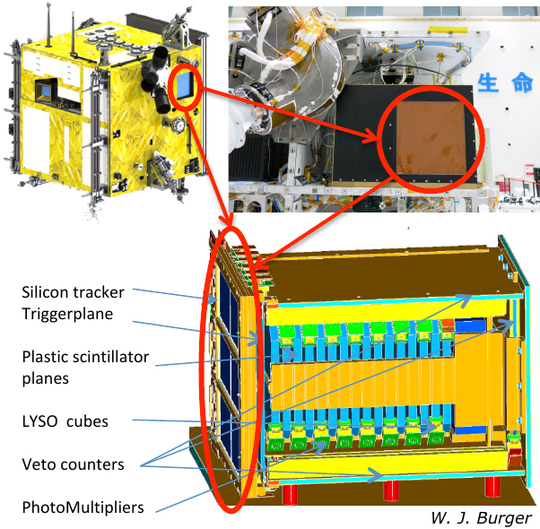 HEPD detector onboard of CSES-01 (ZH-1) Satellite.